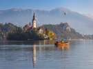 BLED