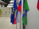 POHOD ŠALOVCI