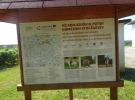 POHOD ČEPINCI 2025