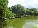 RIBIŠKA TEKMA GRADIŠČE 2025