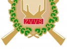 ZVVS